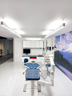 Dentled phl22 full spectrum daylight for treatmentrooms dentists