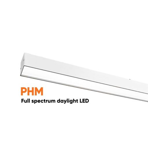 Dentled PHM dental treatment room lighting for Dentist
