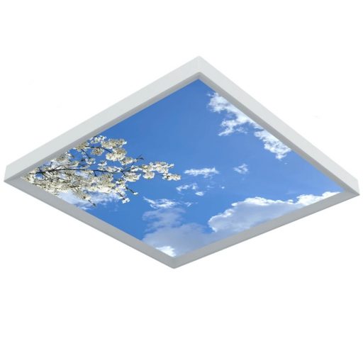 DENTLED PHOTO CEILING FOR DENTAL CLINICS
