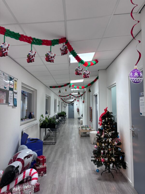 DentLED DL60 full-spectrum daylight LED lighting installed in all clinical areas at Dental Practice De Oude Vest, providing superior color accuracy and ergonomic illumination.