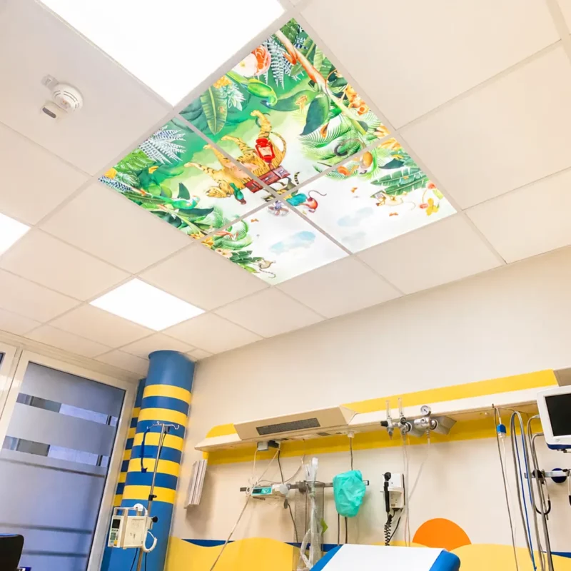 Custom Dentled LED photo panels with calming Pimpelmees nature imagery installed in a children's hospital ward.