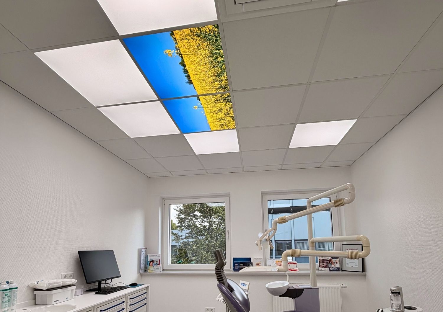 daylight lighting LED panels - Dentled